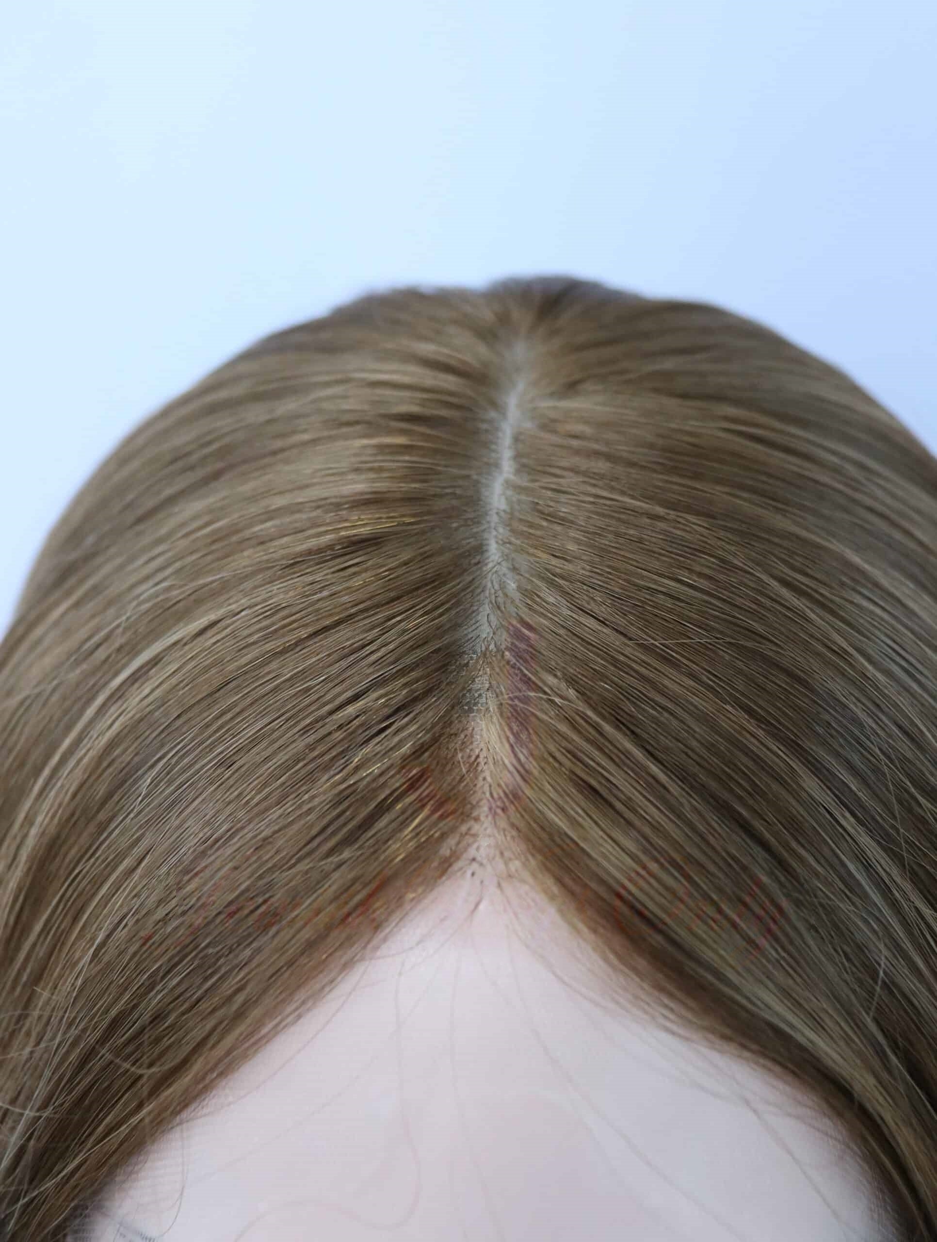 Seamless Wig in Molly Color Luxury Human Hair Wigs & Human Hair Toppers Factory